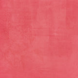 Simple Stories - Simple Vintage Spring Garden - Radish Gingham