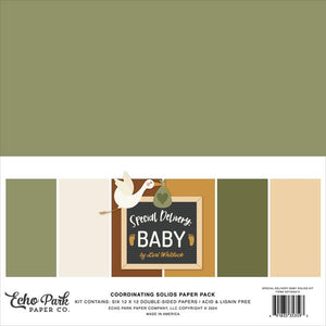 Echo Park - Special Delivery Baby - Solids Kit