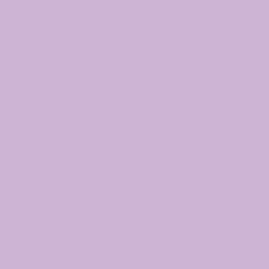 Bazzill 12x12 Cardstock - Lilac Swirl